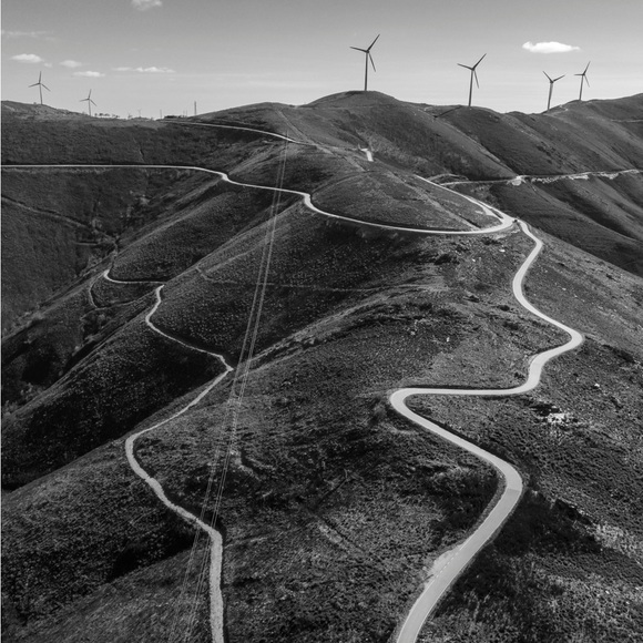 Meet your Posher, Bella - Picture 1 of 1